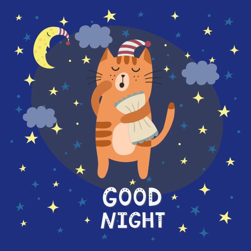 Bonne Nuit / Chat