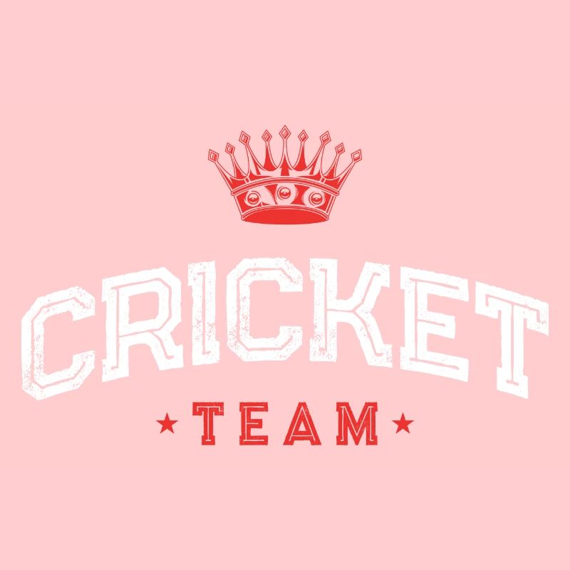 Équipe de cricket