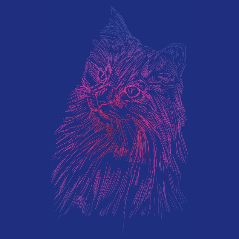 Visage de chat d'un chat persan comme chat domestique