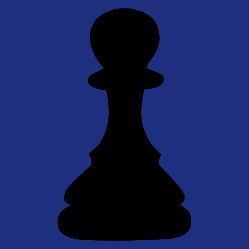 schach bauer