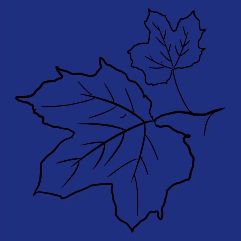 Maple Leaf / Maple Leaves, Decorative Drawing.