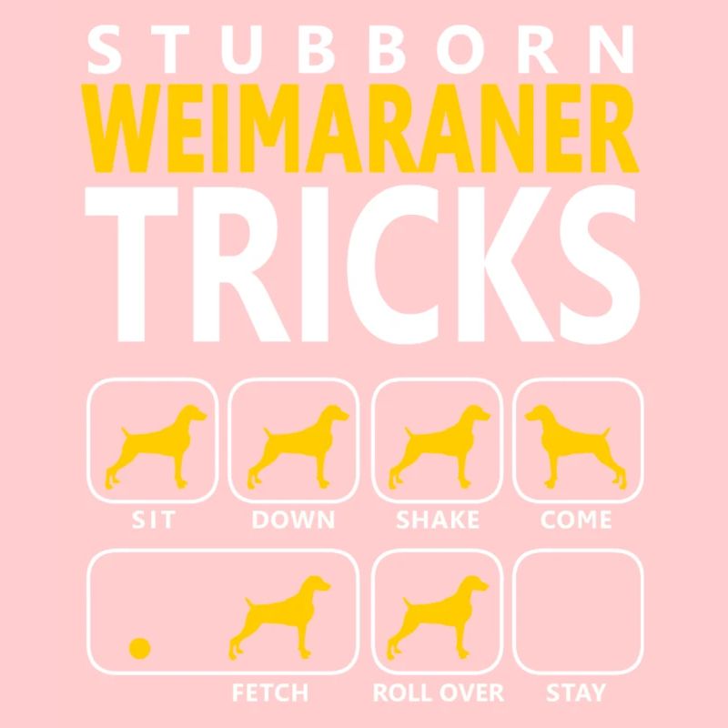Stubborn Weimaraner Tricks