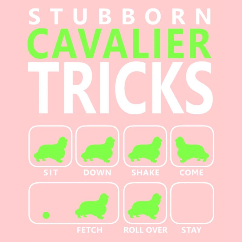 Stubborn Cavalier Tricks