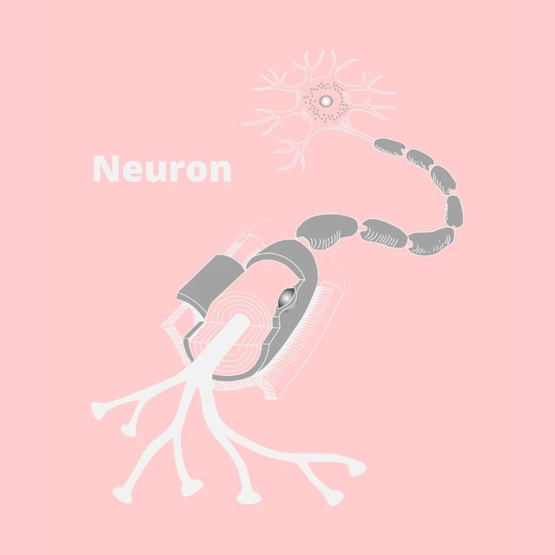 Neurone