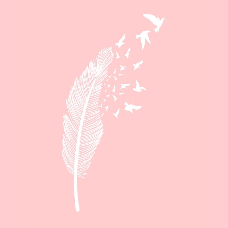 Plume et oiseau blanc