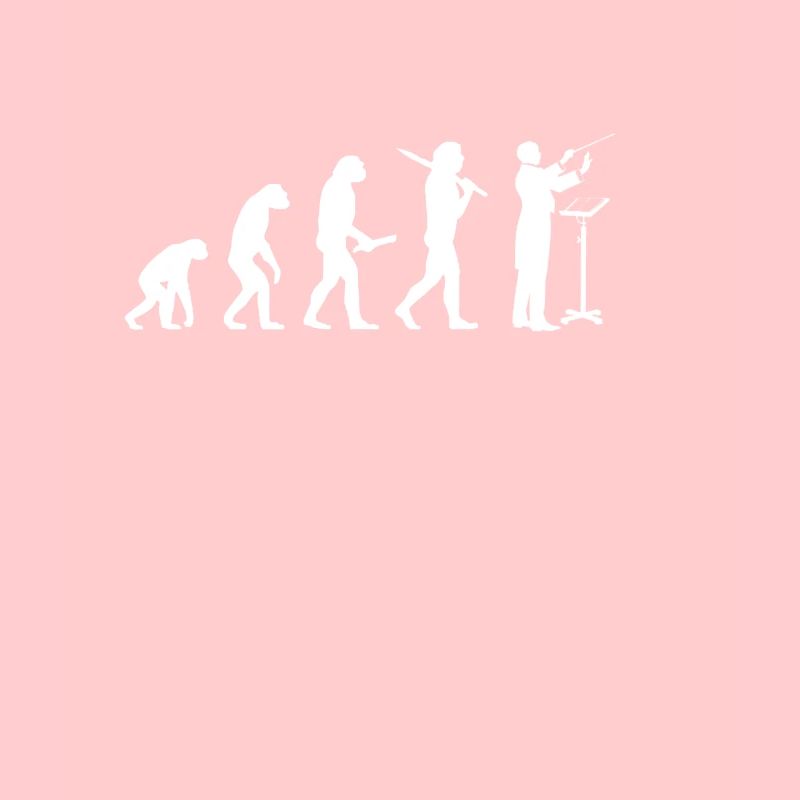 Ensemble de chef d'orchestre idée cadeau évolution