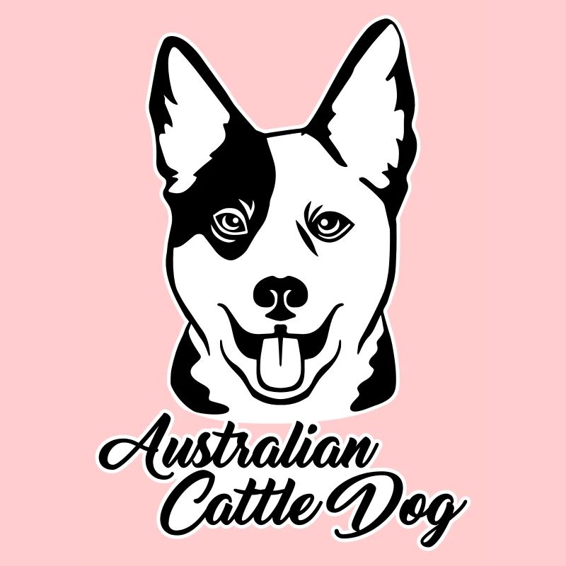 Australian cattle dog