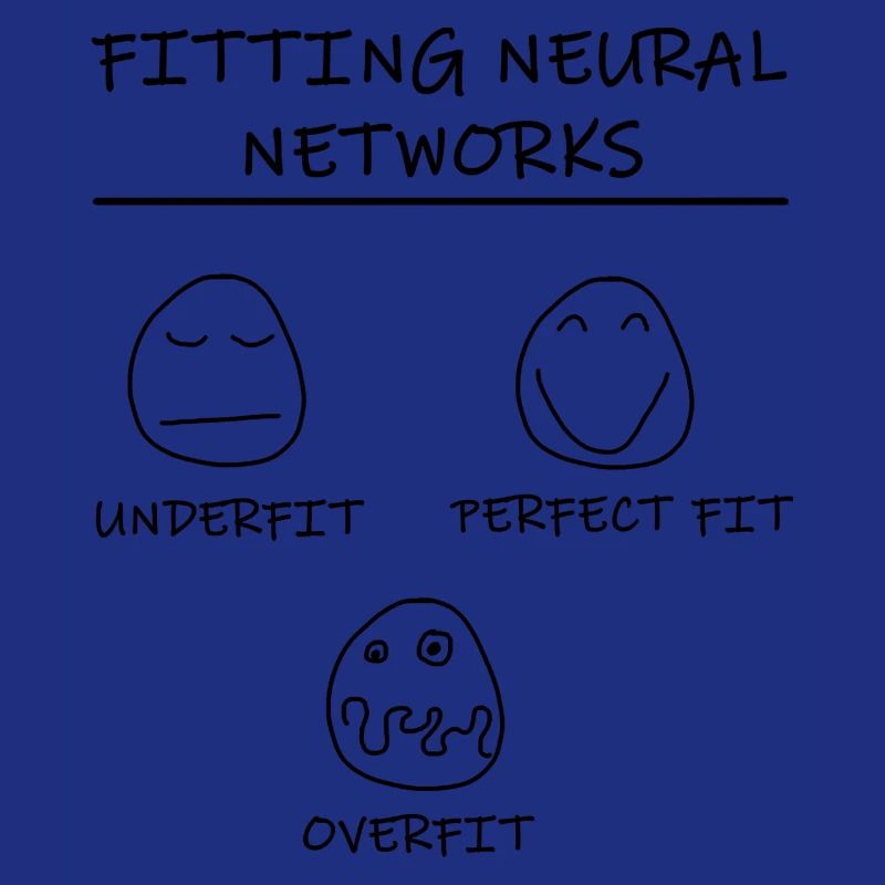 Datascience: Neural Networks Model Fitting (Black)