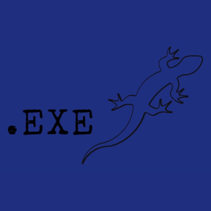 Informaticien programmeur It Coding