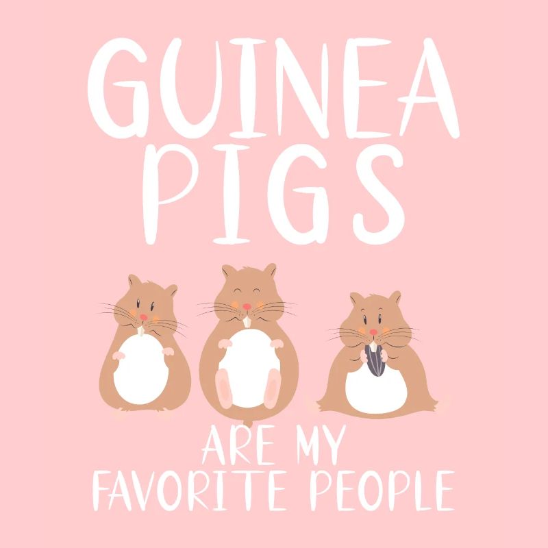 Cadeau mignon cochon d’Inde