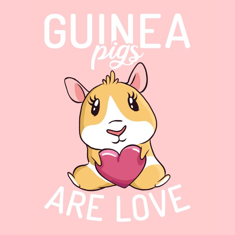 Cadeau mignon cochon d’Inde