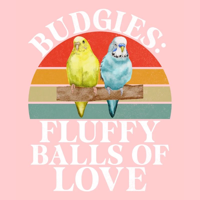Budgie Gift