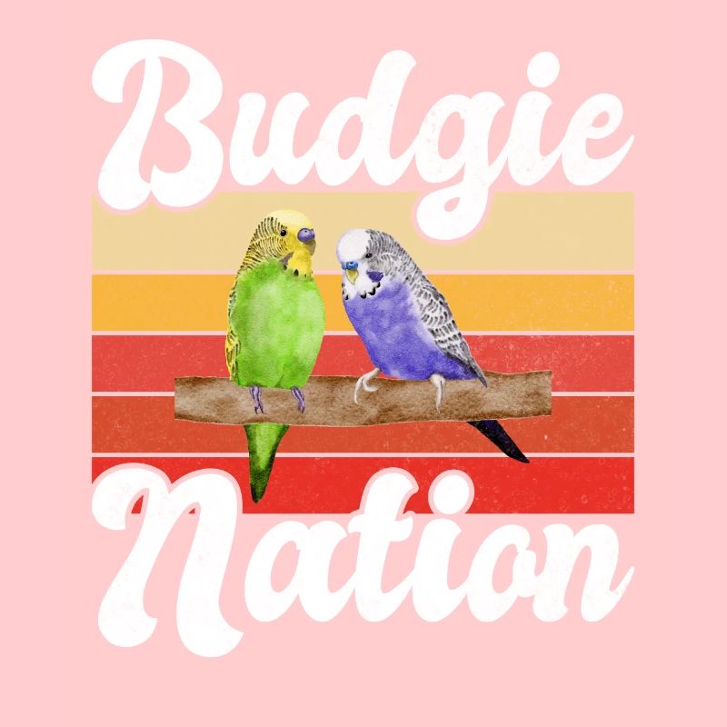 Budgie Gift