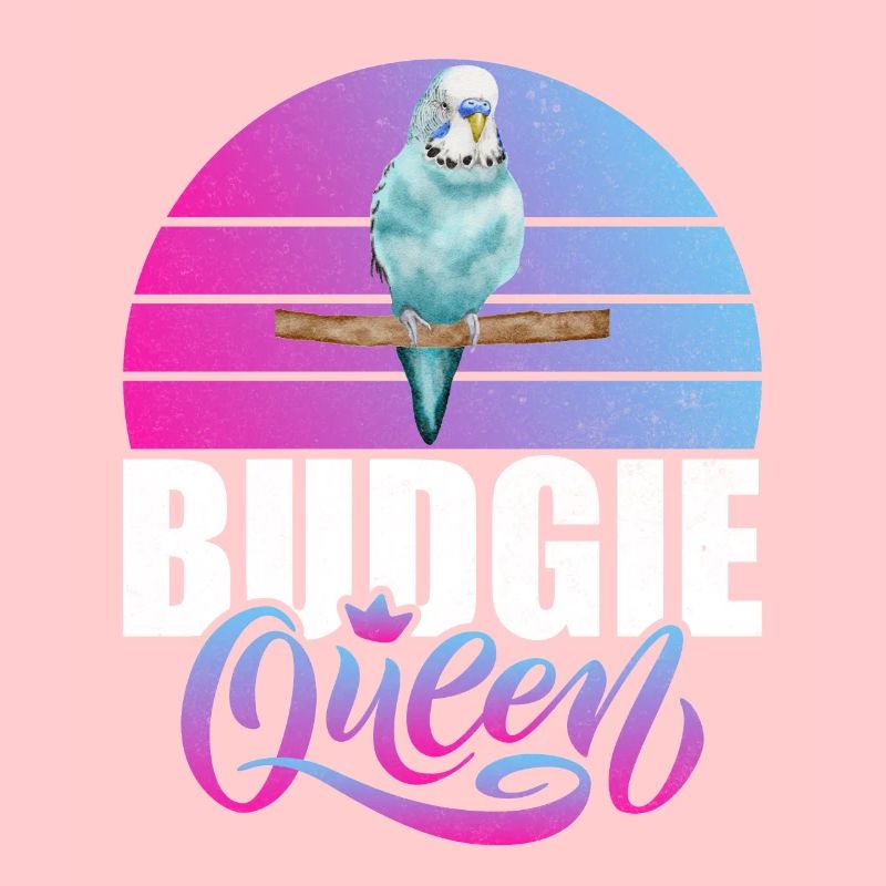 Budgie Gift