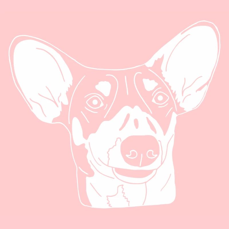 Podenco Mix