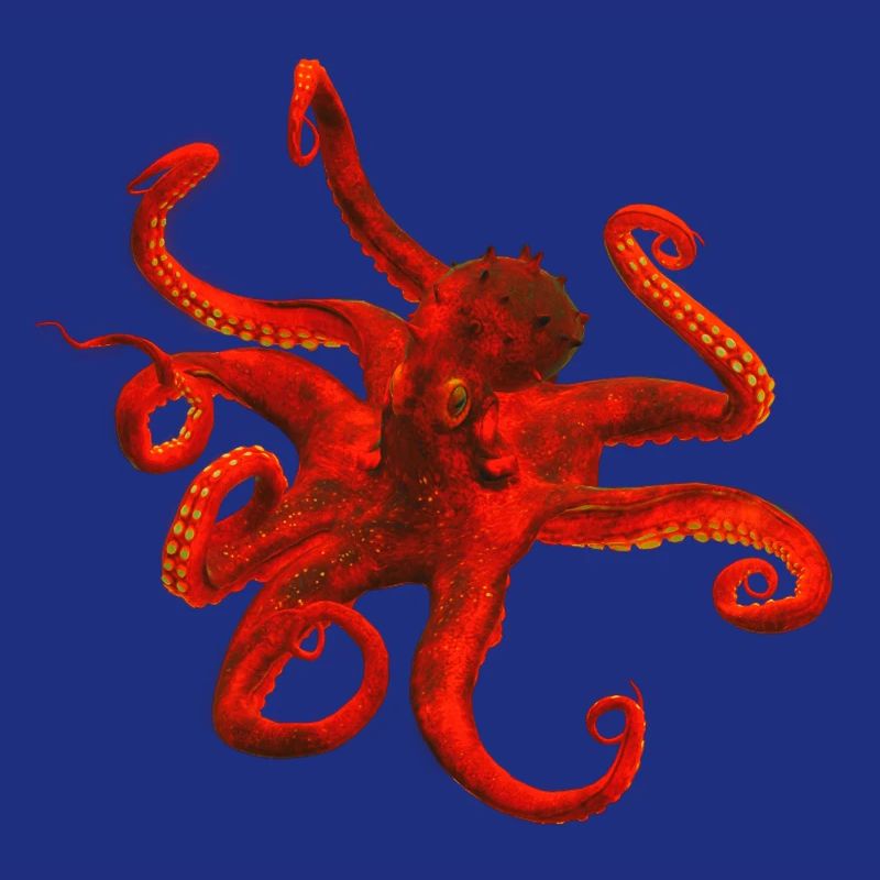 octopus