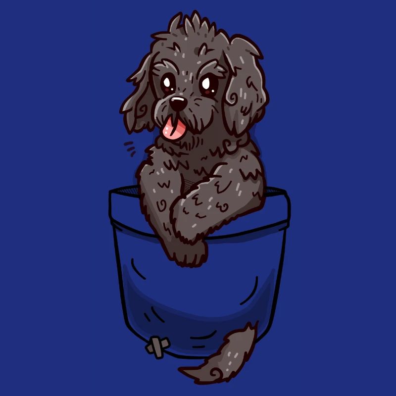 Poche Cockapoo