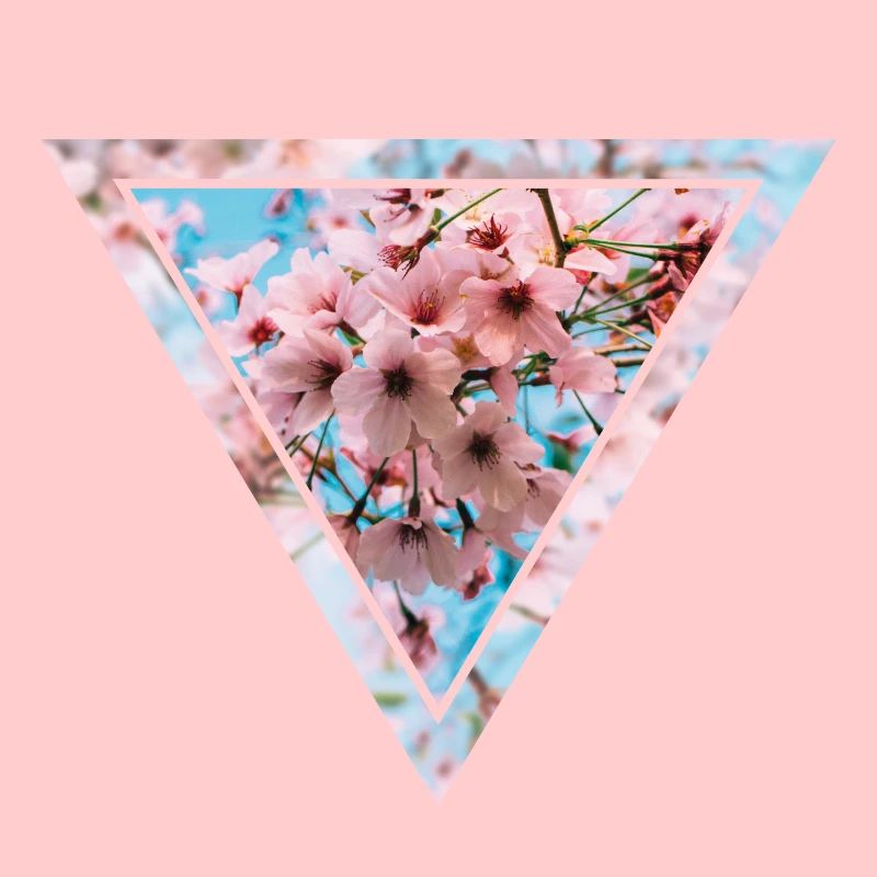 Triangle de fleurs de cerisier