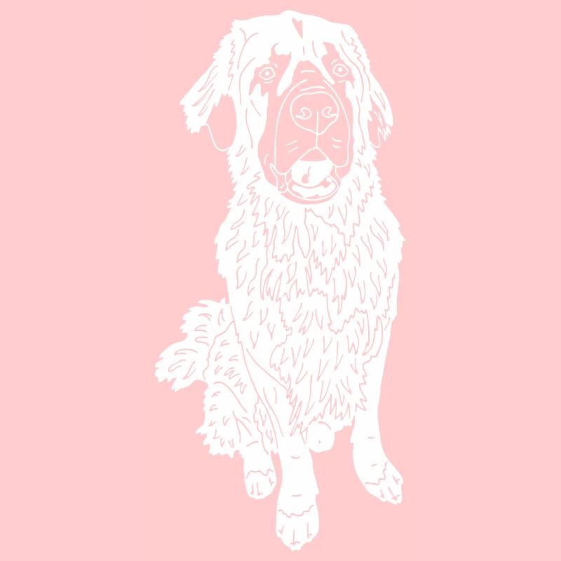 Leonberger Mix