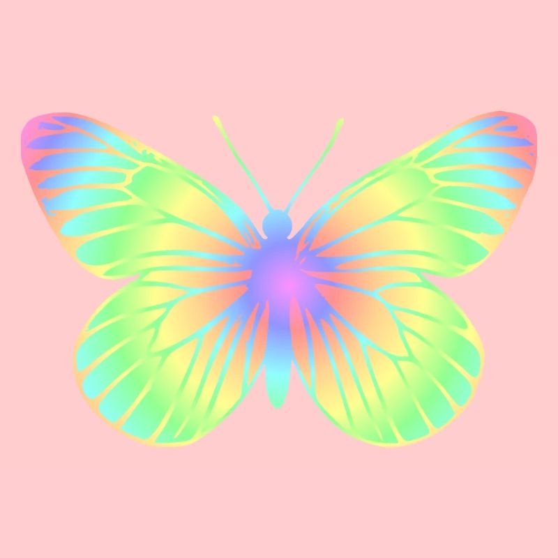 butterfly 2