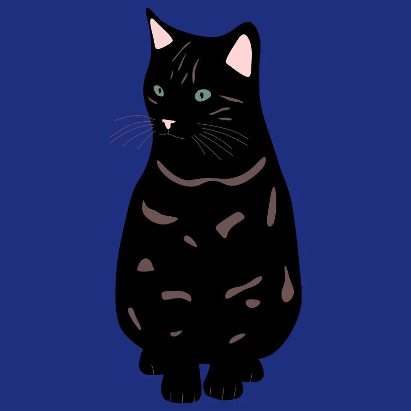 schwarze Katze