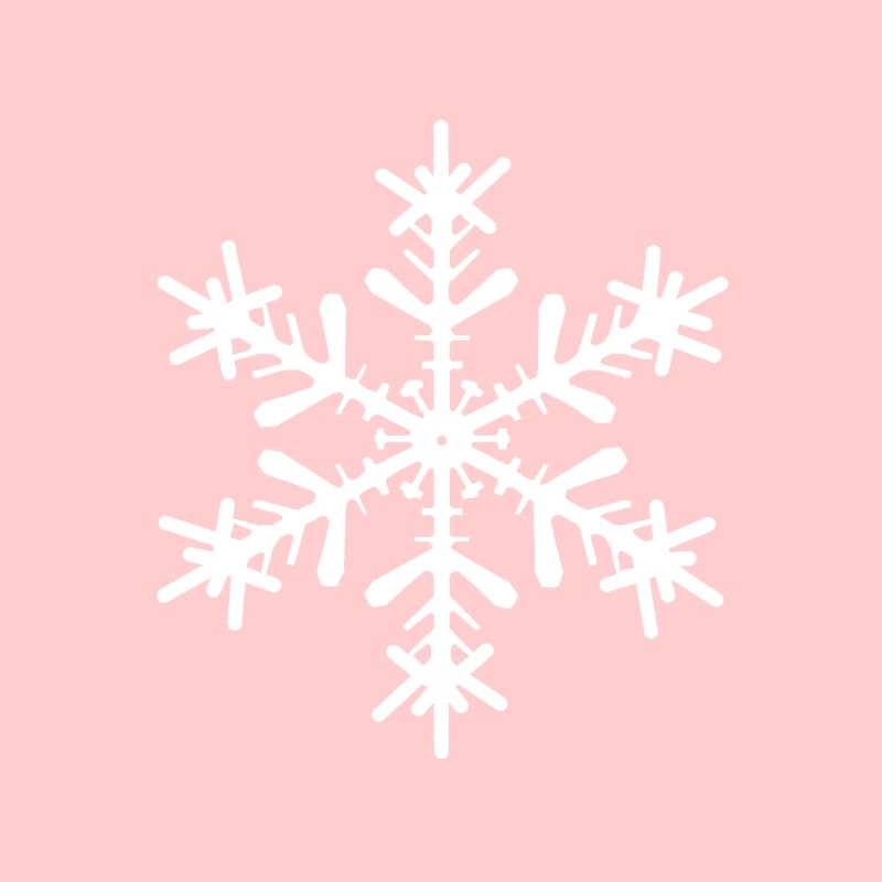 Schneestern