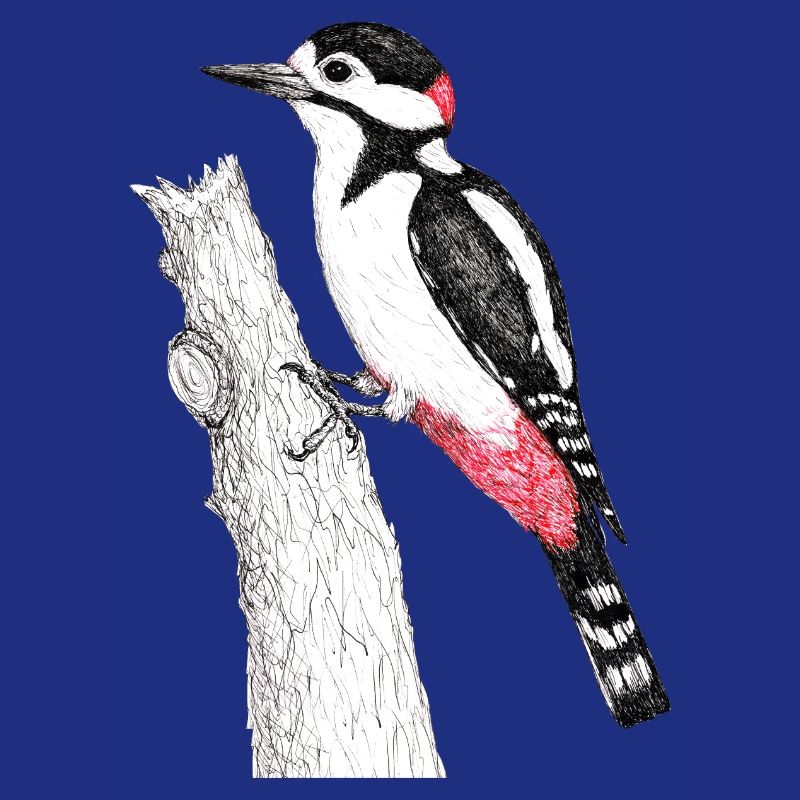 Pic épeiche
