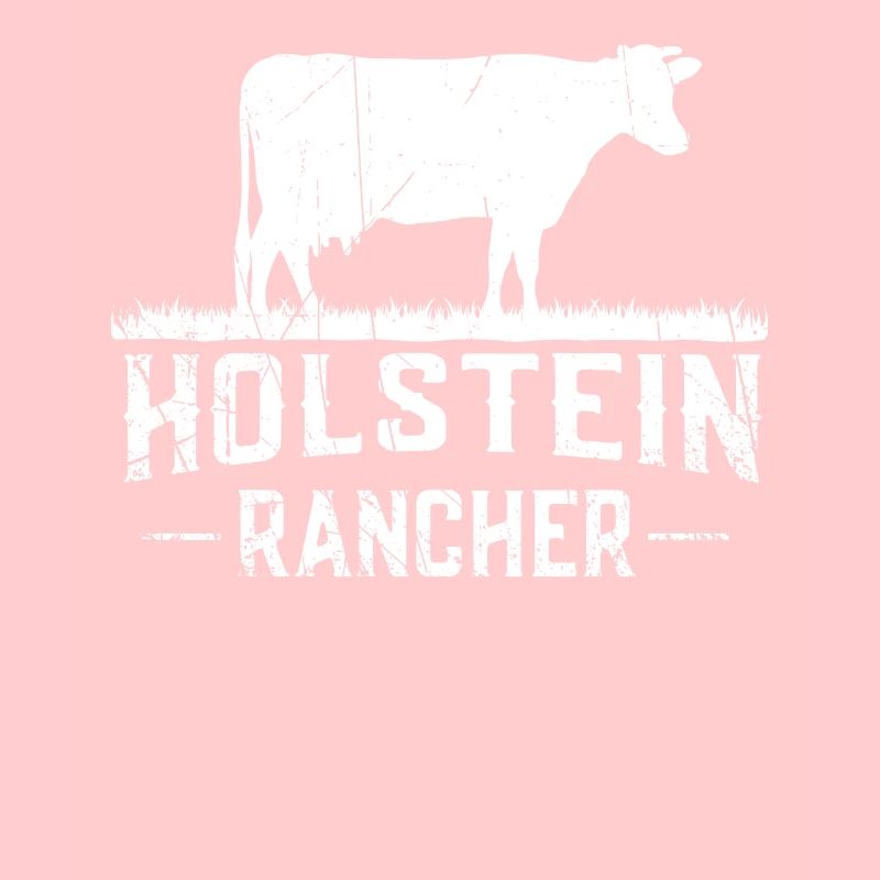 Holstein Rancher Holstein Cow