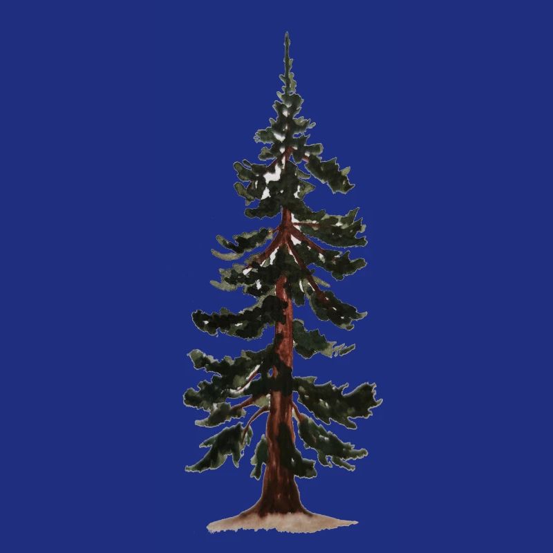 Baum