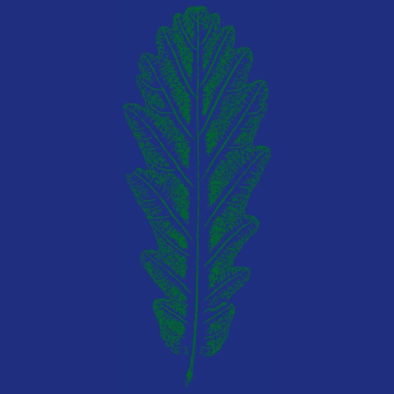 Eiche - Blatt / Eichenblatt - DRUCK