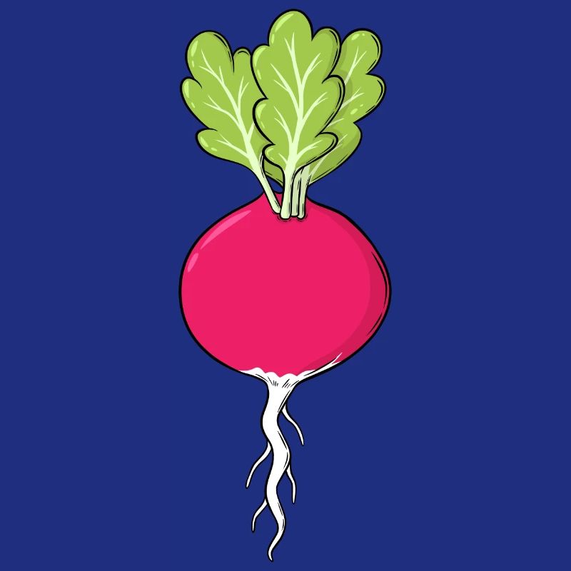 Rotes Radies mit Blättern Gemüse Radieschen