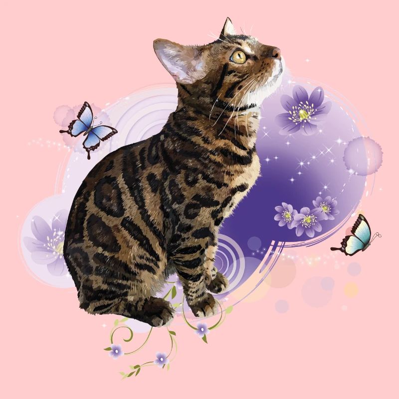 Chat du Bengale