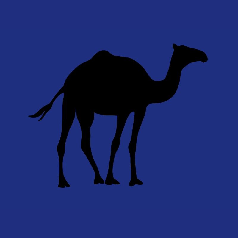 Kamel - Dromedar