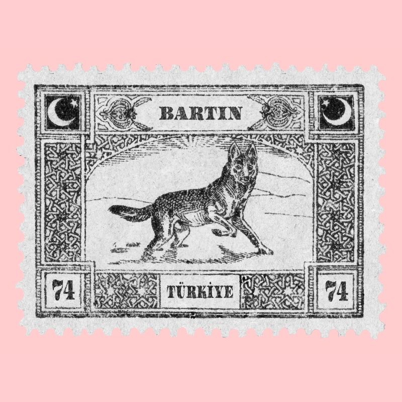 Bartın