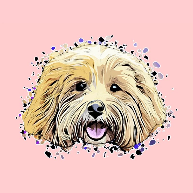 Havanese comic