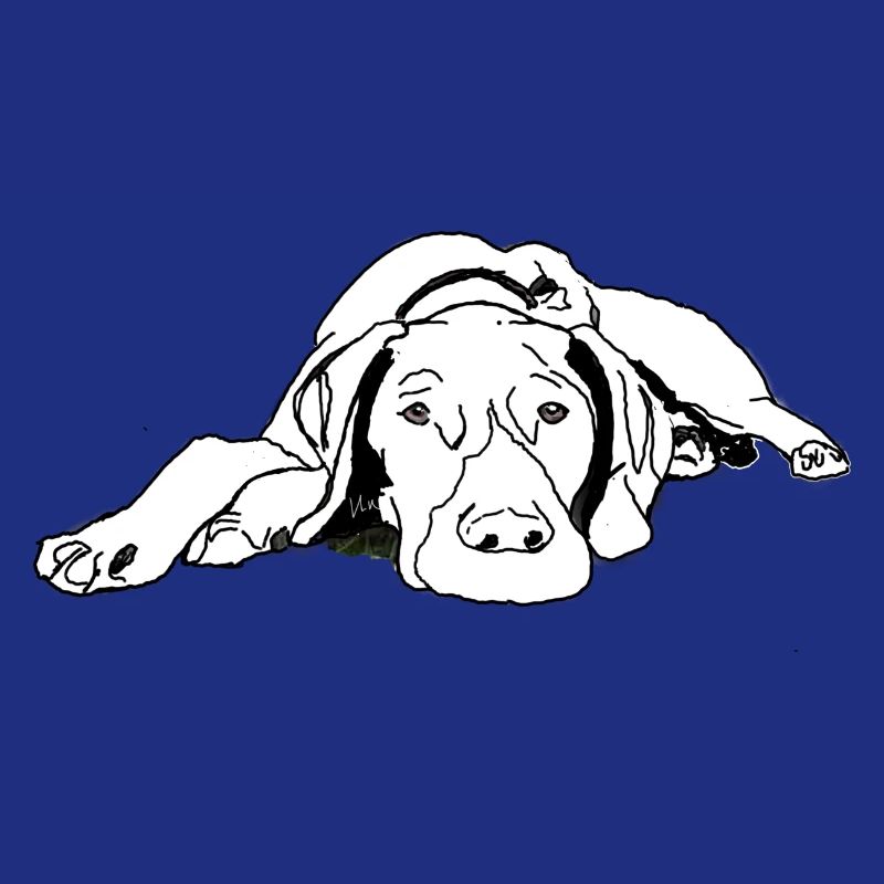 Pointer German Shorthair