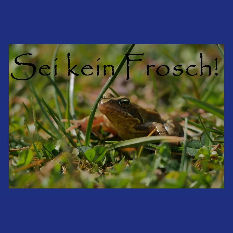 Ne sois pas une grenouille