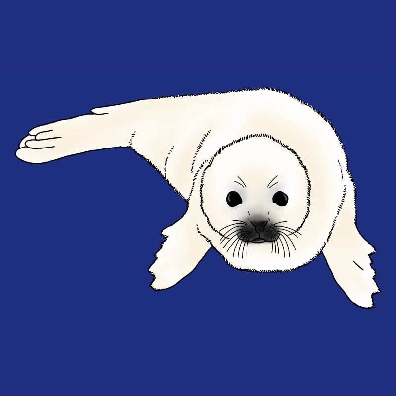 Bébé phoque