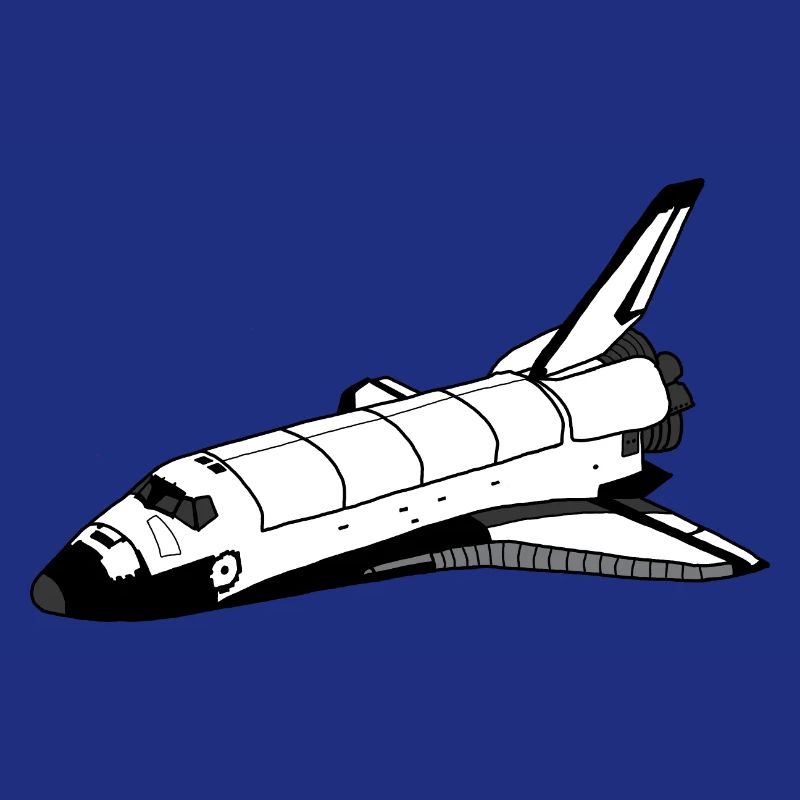 Space Shuttle
