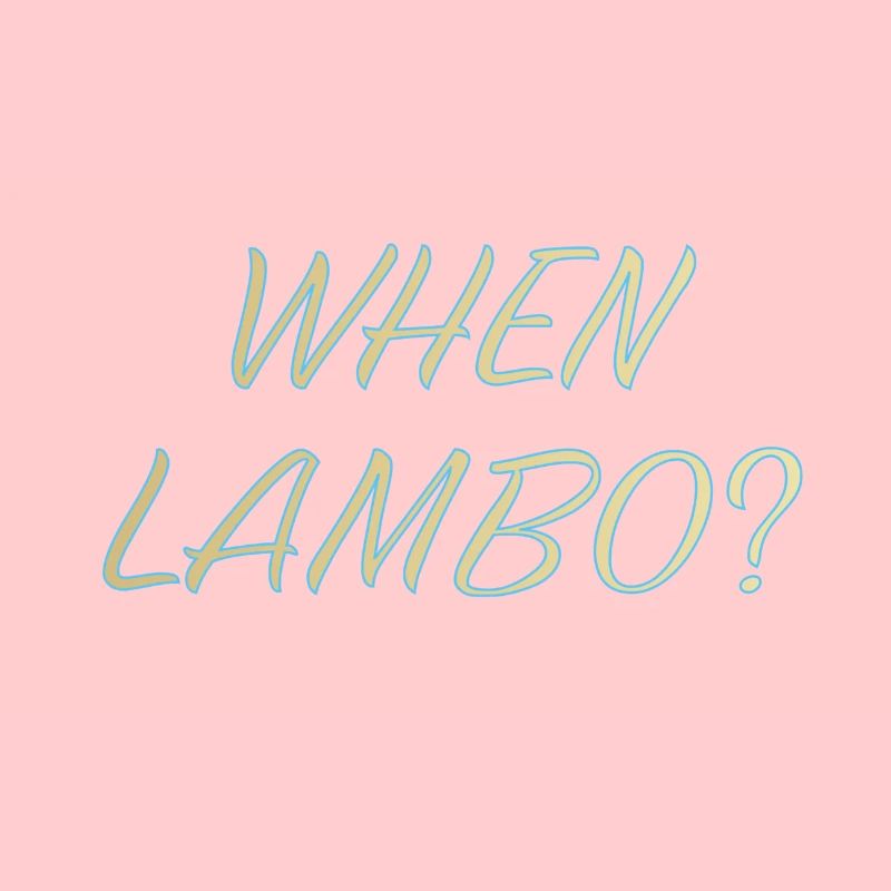 WHEN LAMBO IGLOO