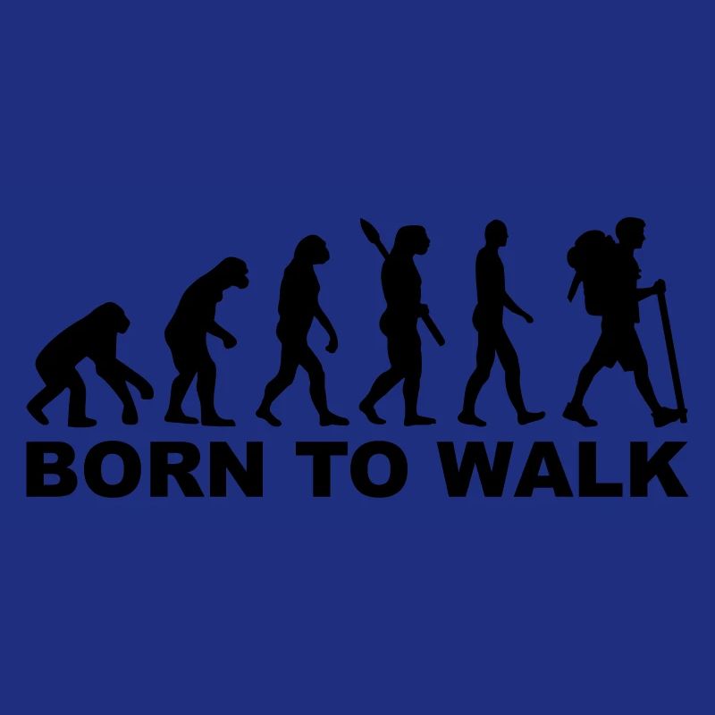 Évolution Cheminement