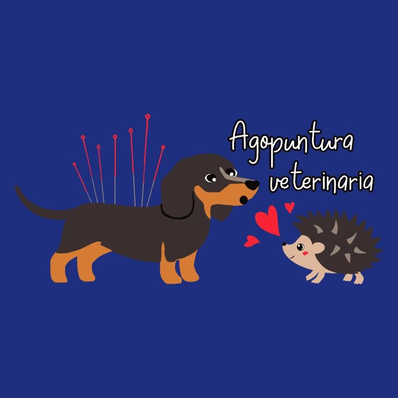 Veterinary acupuncture
