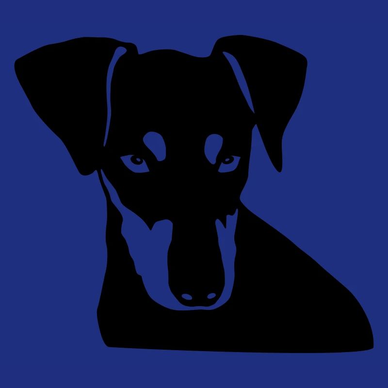 Deutscher Pinscher 003