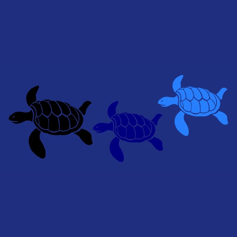 Tortues