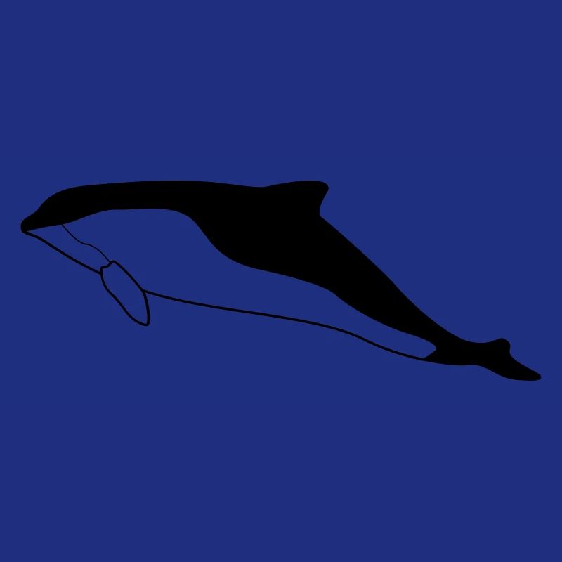 Schweinswal (Phocoena phocoena)