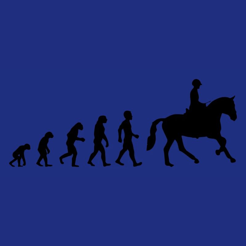 Evolution équitation