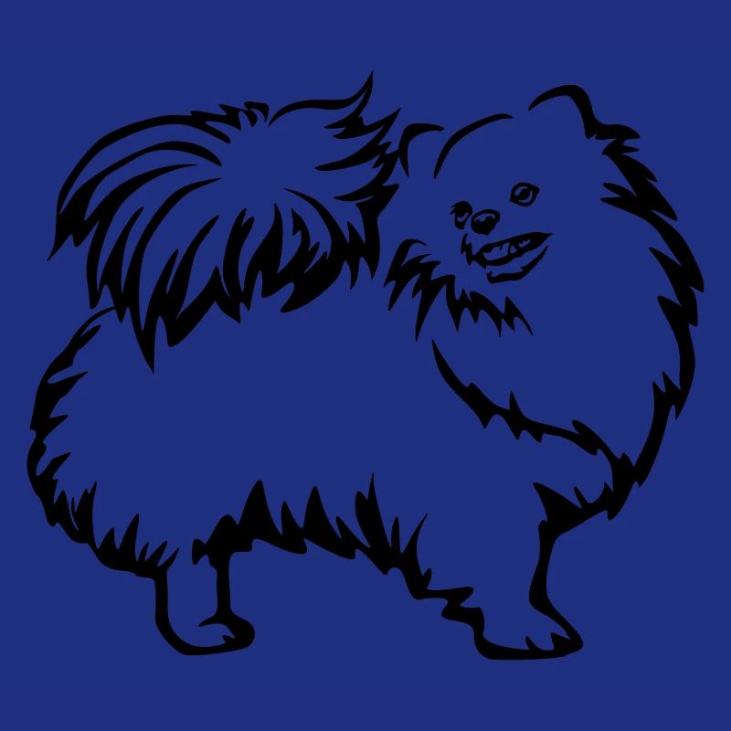 Spitz nain