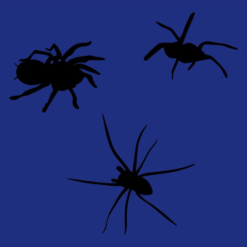 Spider Insect Walgelijk Giftig Gift Idee