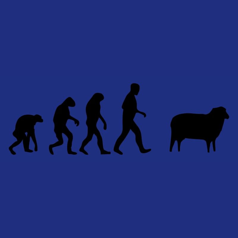mouton evolution