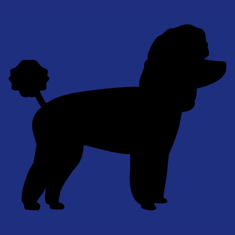 Toy Poodle
